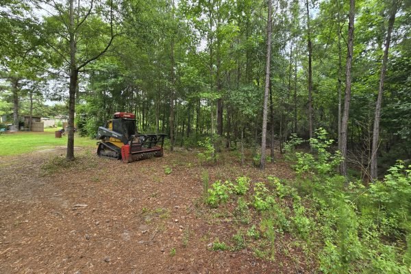 forestry-mulching-picture4