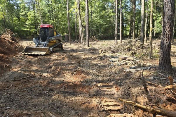 land-clearing-picture5