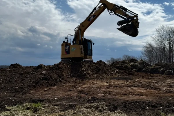 land-clearing3